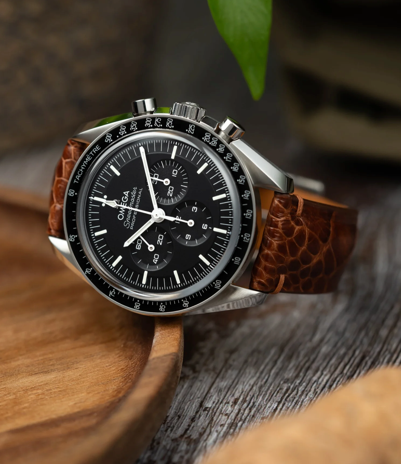 ostrich-leather-watch-strap-icon